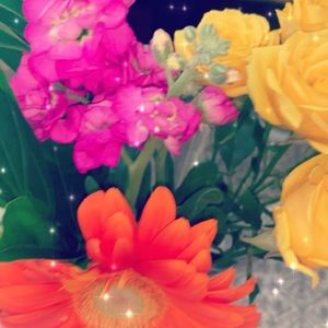 Meet your Posher, Kimberly